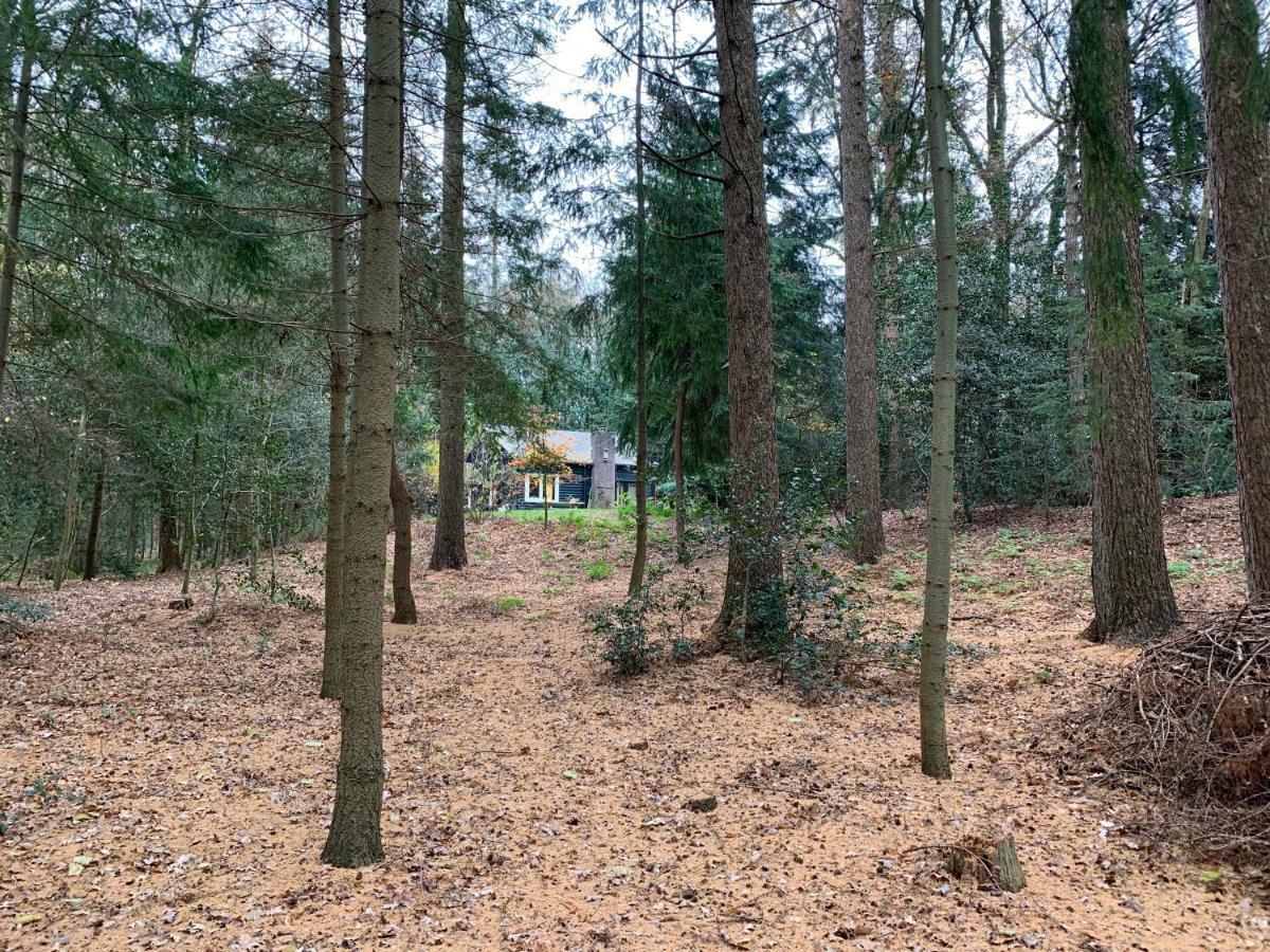 Landgoed De Heezeberg Villa Diever Exterior photo